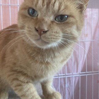 〝ポン太君〟です♪