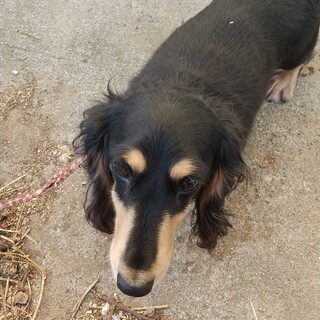 目黒ちゃんです