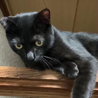 ずっとのお家を探していたら7ヶ月になりました