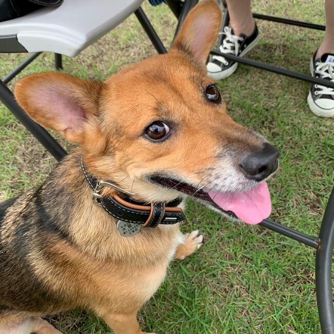 りゅうたパパのカバー写真