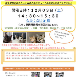 保護猫の譲渡会