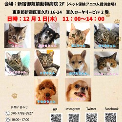 ペットと暮らそう譲渡会