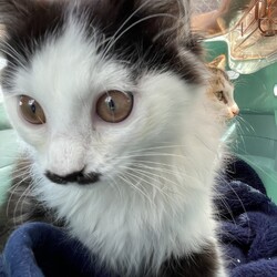 「ありがとう。幸せになるんだよ」サムネイル2