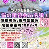 艶やかな黒猫の可愛いマキマキちゃん サムネイル6