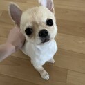 もうすぐ9ヶ月になる女の子です