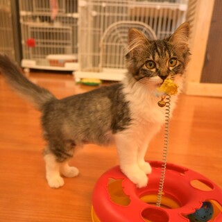 ※トライアル中 お姉さんタイプの綺麗好き女子♡