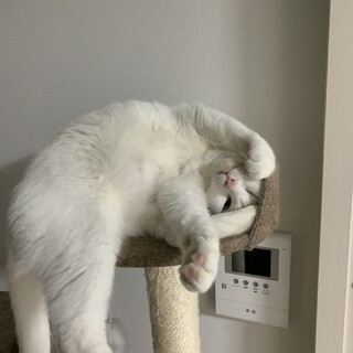 ご応募ありがとうございました。