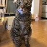 moimoi0016
