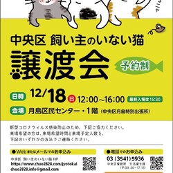 (予約制)中央区飼い主のいない猫譲渡会