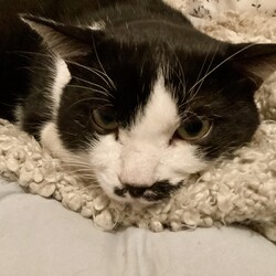 「4度目の冬大きくなりました。」サムネイル2