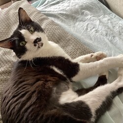 「4度目の冬大きくなりました。」サムネイル3