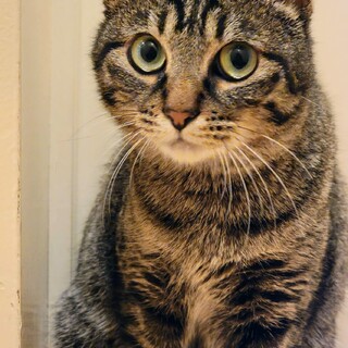 永遠の誓い～貴方を一生愛し続けます