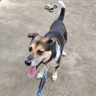 ありがとうございました！