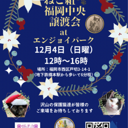 ねこ組福岡中央譲渡会atエンジョイパーク