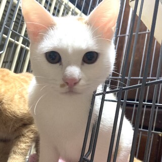 ファンファン王子☆