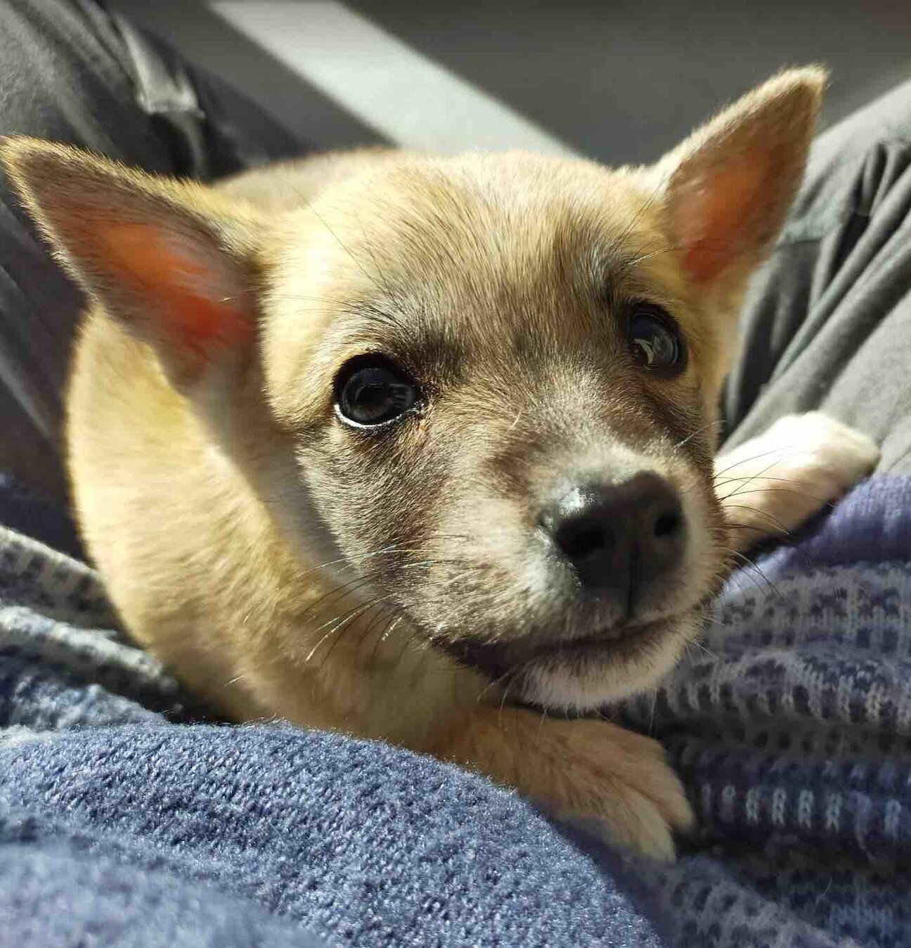 Z77koon96xnm8m Z77koon96xnm8m