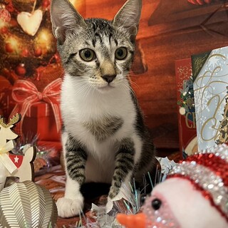 横浜市南区 沖縄出身の男の子