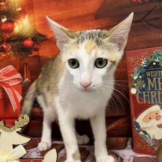 横浜市南区  沖縄出身の女の子