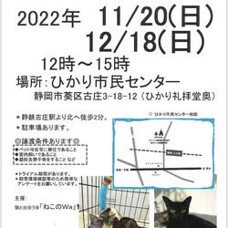 ねこのWa猫譲渡会　静岡市葵区