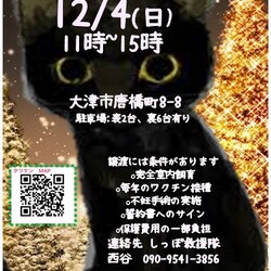 しっぽ救援隊☆タツケン譲渡会