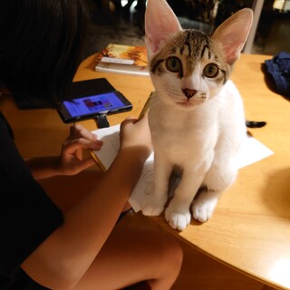 素敵な里親様が見つかりました！