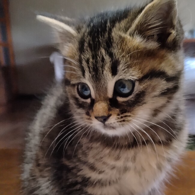 晴欄のカバー写真