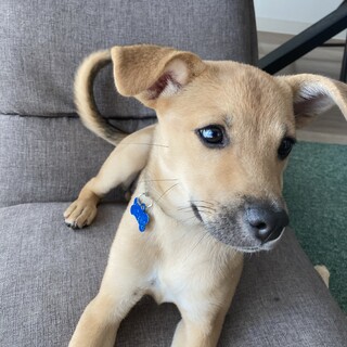 瞳がキレイな笑心ちゃん