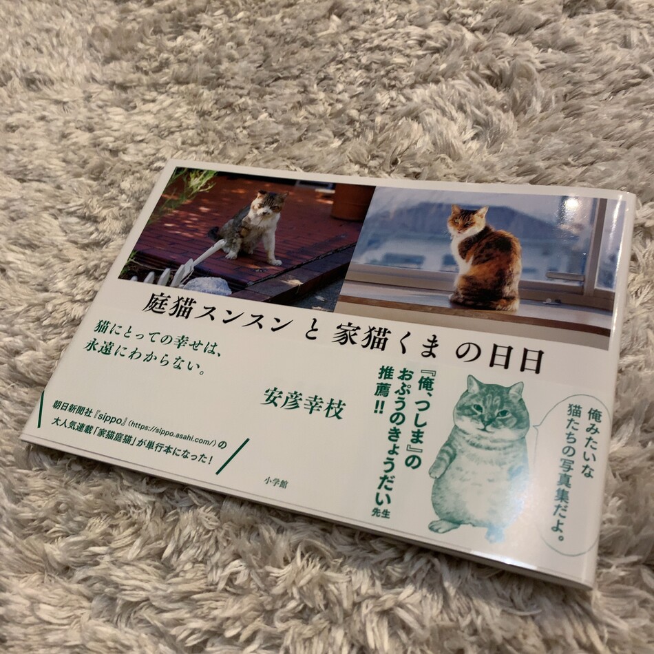 いなりのカバー写真