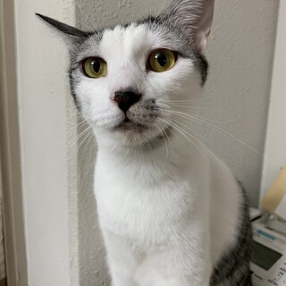甘えん坊のカワイイ女の子❤️いちごちゃん