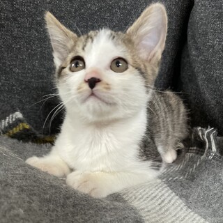 遺棄されていた４姉弟★マイペースなダダくん★