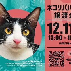 保護猫譲渡会@ネコリパハウス高円寺