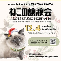 12/4(日)猫の譲渡会@名古屋市守山区小幡駅前