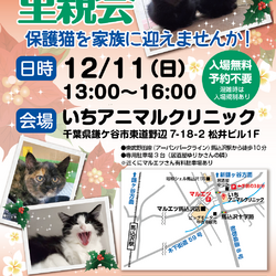 ふくねこや。。neko部　保護ねこ里親会