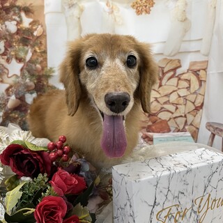 幸せみつかりました！