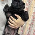 なでなで大好き甘えん坊