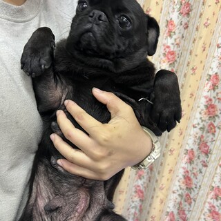 なでなで大好き甘えん坊