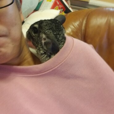 ２代目ふうちゃんです