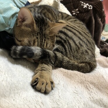 の写真