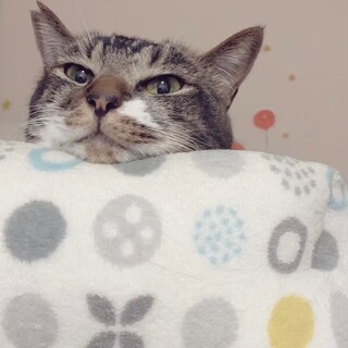 のんびり屋さんです。