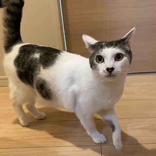 遊ぶの大好き！人馴れ抜群の男の子