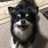みるこあ