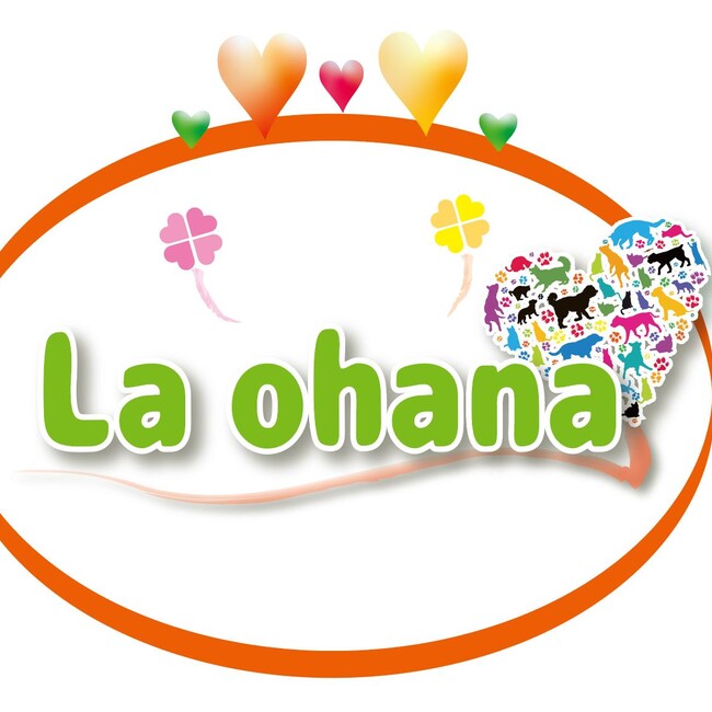 NPO法人アニマルホームOhanaのカバー写真
