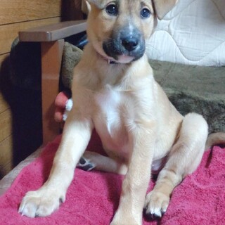 良いご縁に繋がりました！