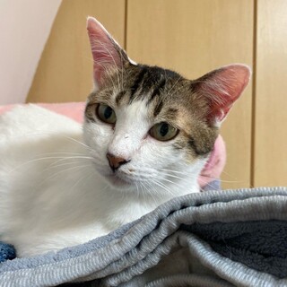 ストーカー「ミロ」ちゃん❤