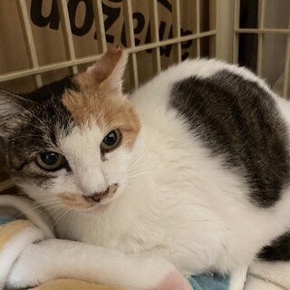 〝プーアルちゃん〟です♪