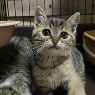 3兄妹お団子？ビビリ？なさえちゃん❤️