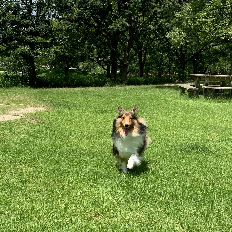 碧彩のカバー写真