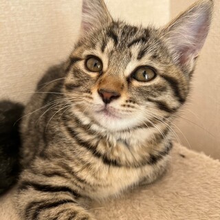 人懐っこくてマイペース♡はなちゃん