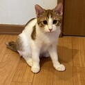 人が大好き甘えん坊♡トキくん