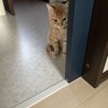 つぶあ